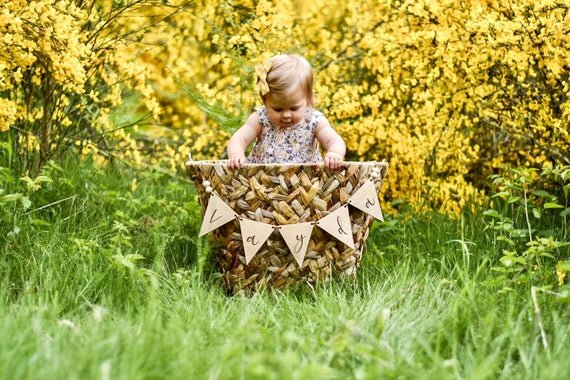 Custom banner, pennant flags on a big basket with baby inside, outside in nature.