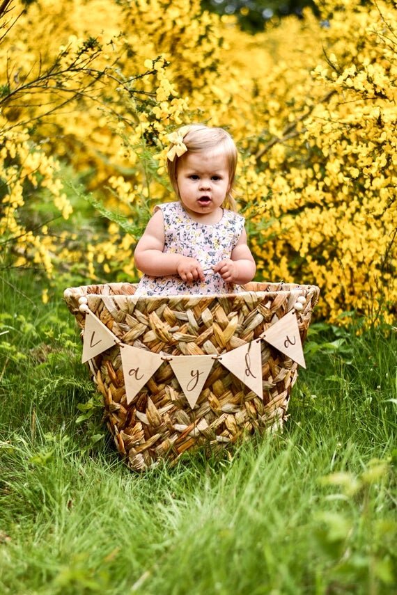 Load image into Gallery viewer, Custom banner, pennant flags on a big basket with baby inside, outside in nature.
